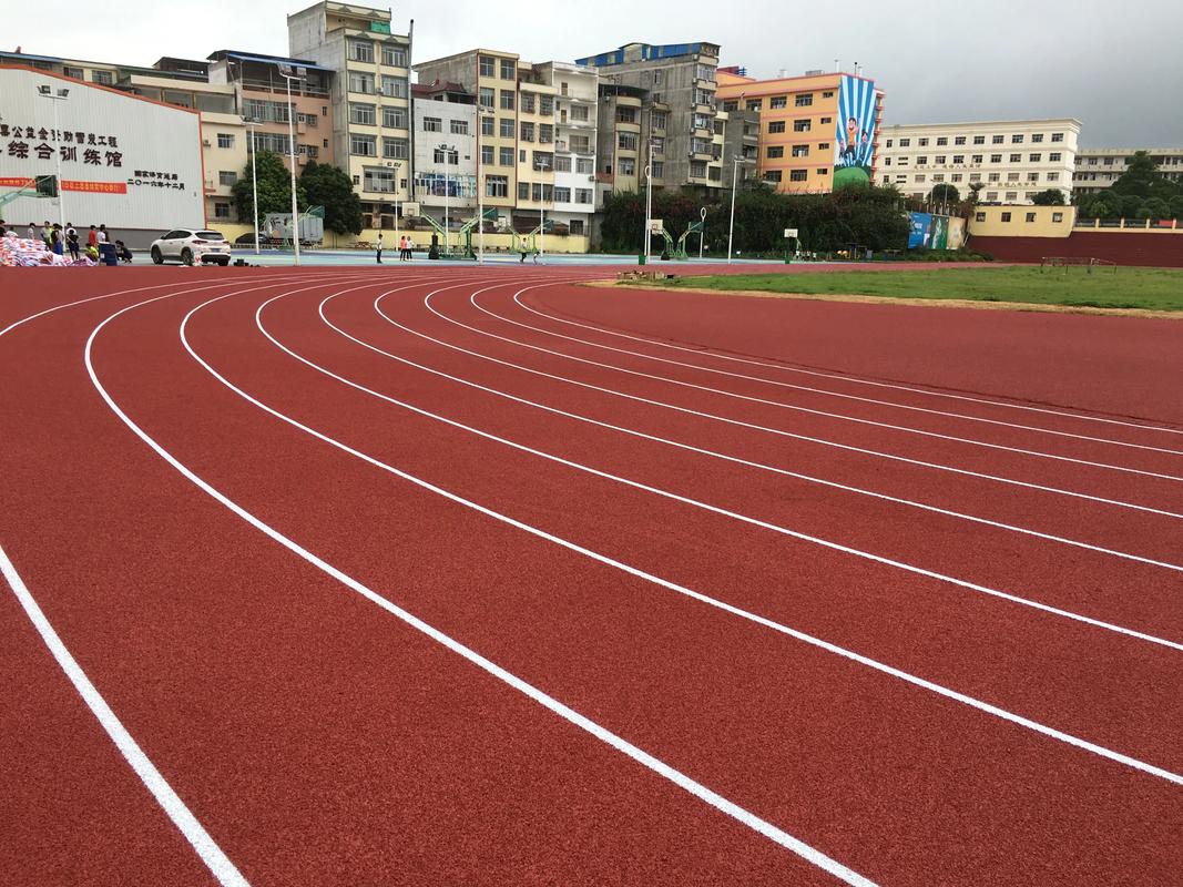 来宾市学校塑胶跑道塑胶跑道材料 - 厂家